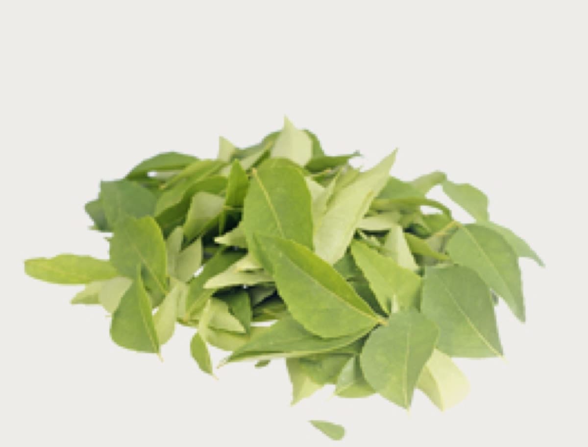 Curry leaves