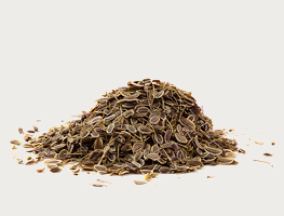 Dill