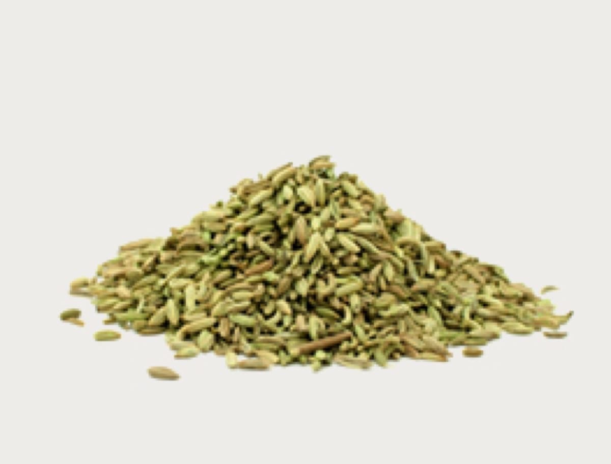 Fennel