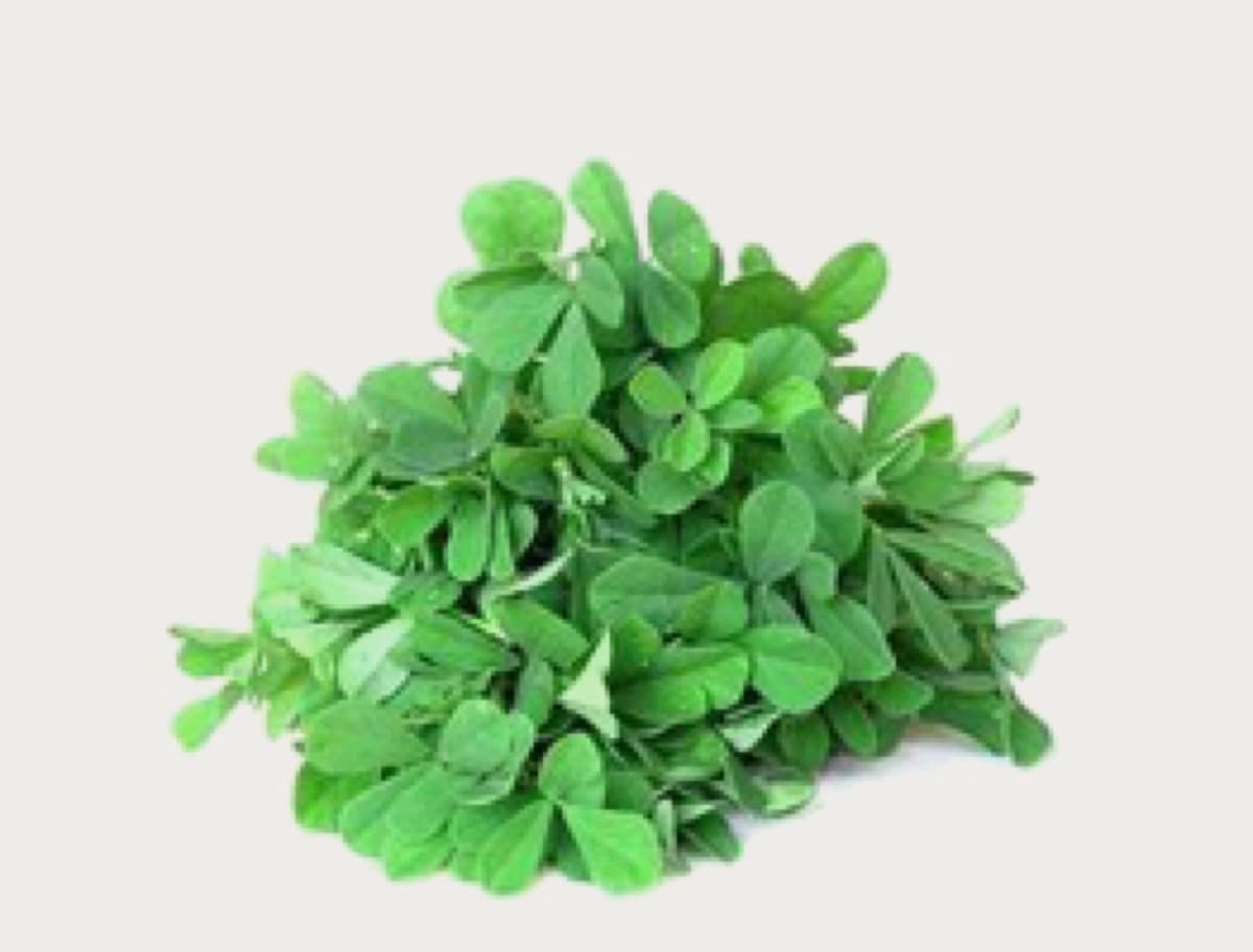 Fenugreek leaves