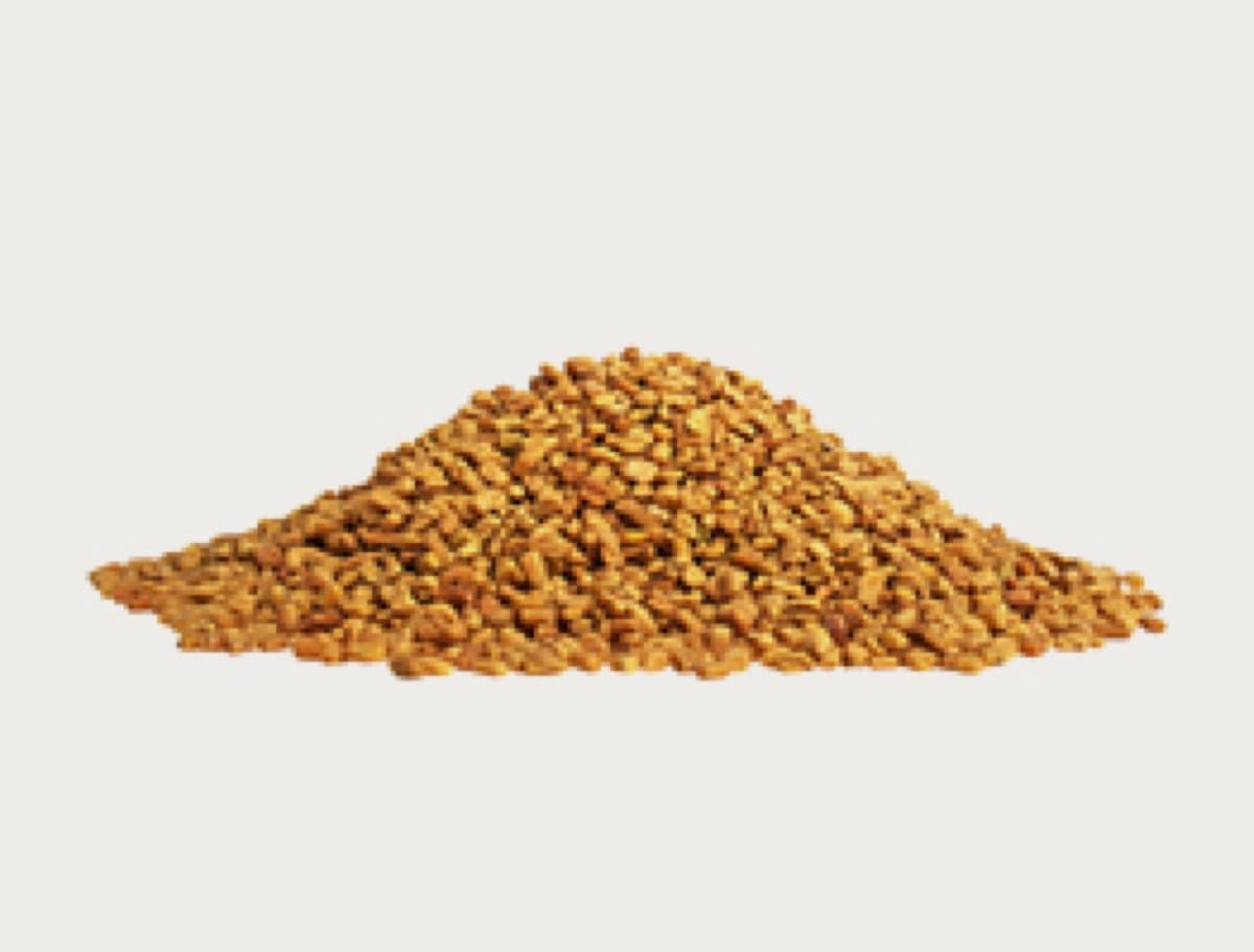 Fenugreek