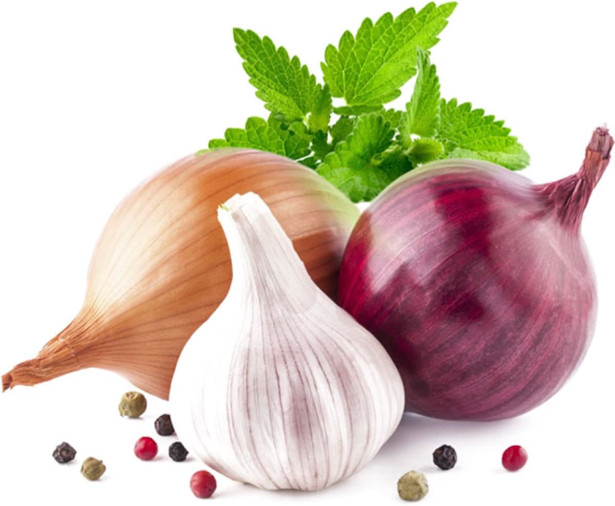 White onion, red onion and garlic, the plant's raw material