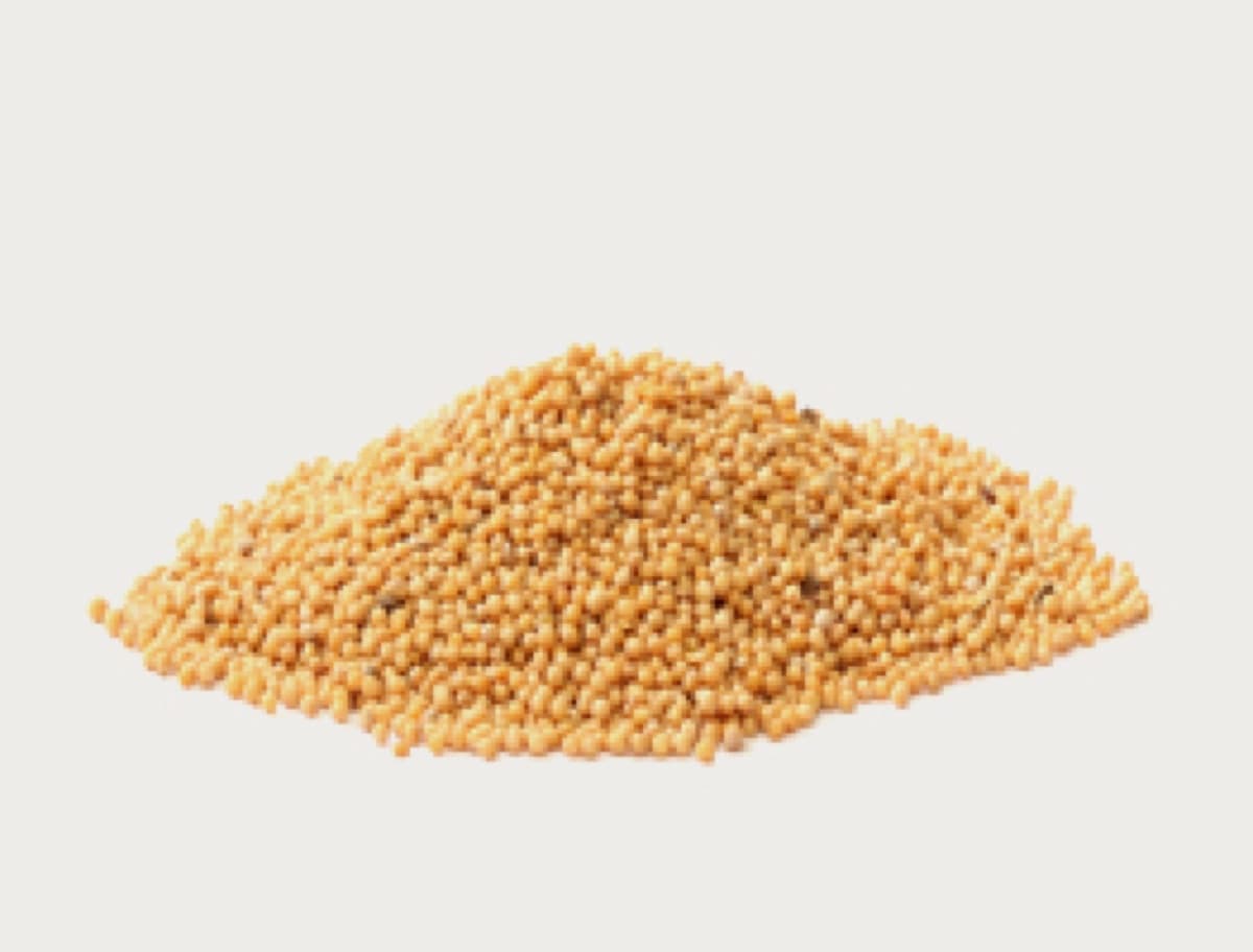 Yellow mustard